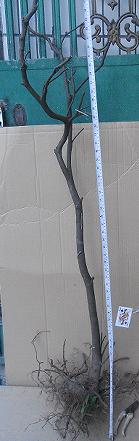 QQͼ20151109001645.png