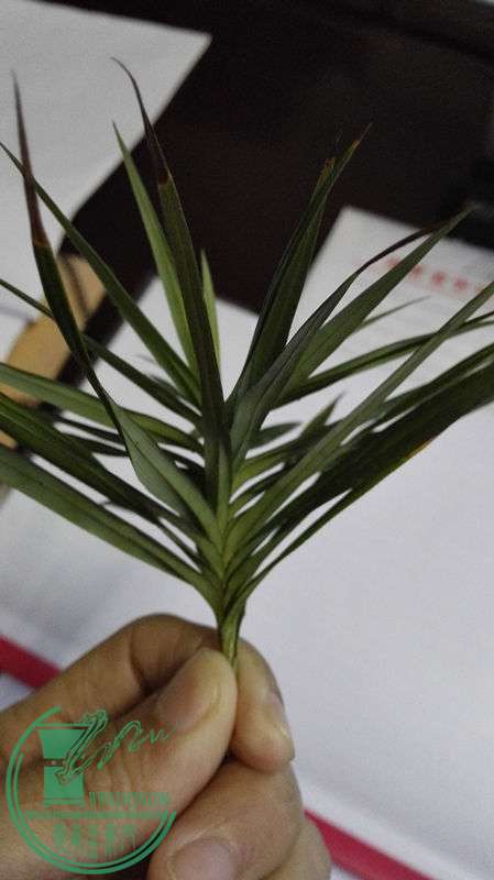 IMG_20151110_165720.jpg