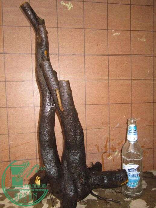 ѻ4B.jpg