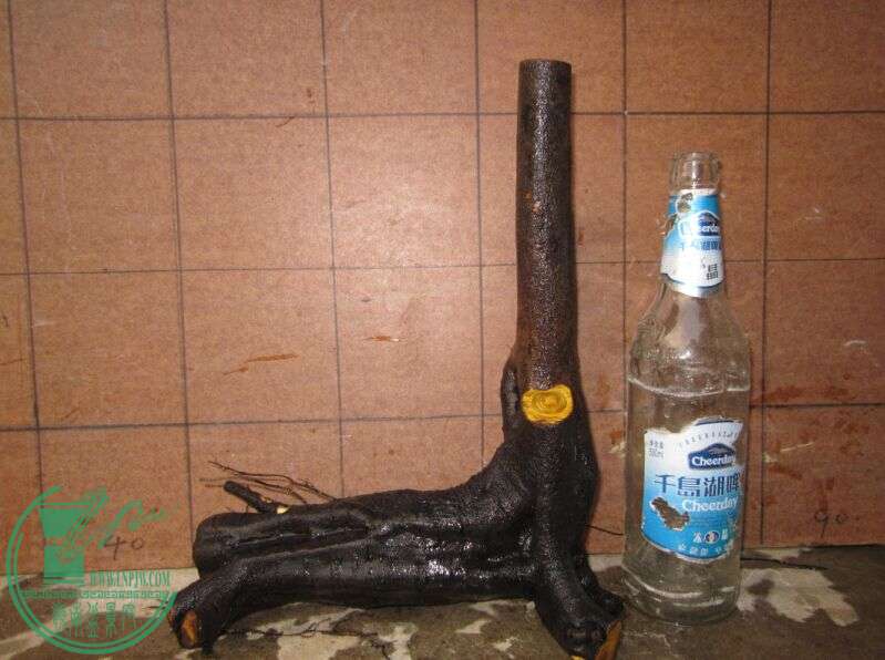 ѻĸ׮7B.jpg