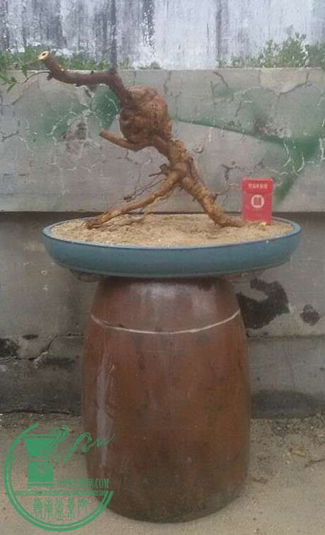 1_.jpg
