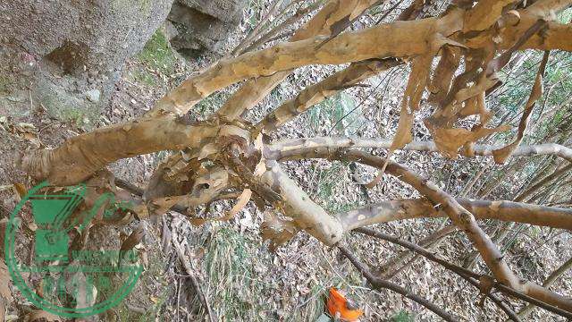 ͼƬղIMG_20151024_134250.jpg