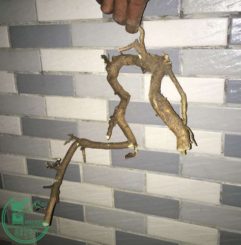 image.jpeg