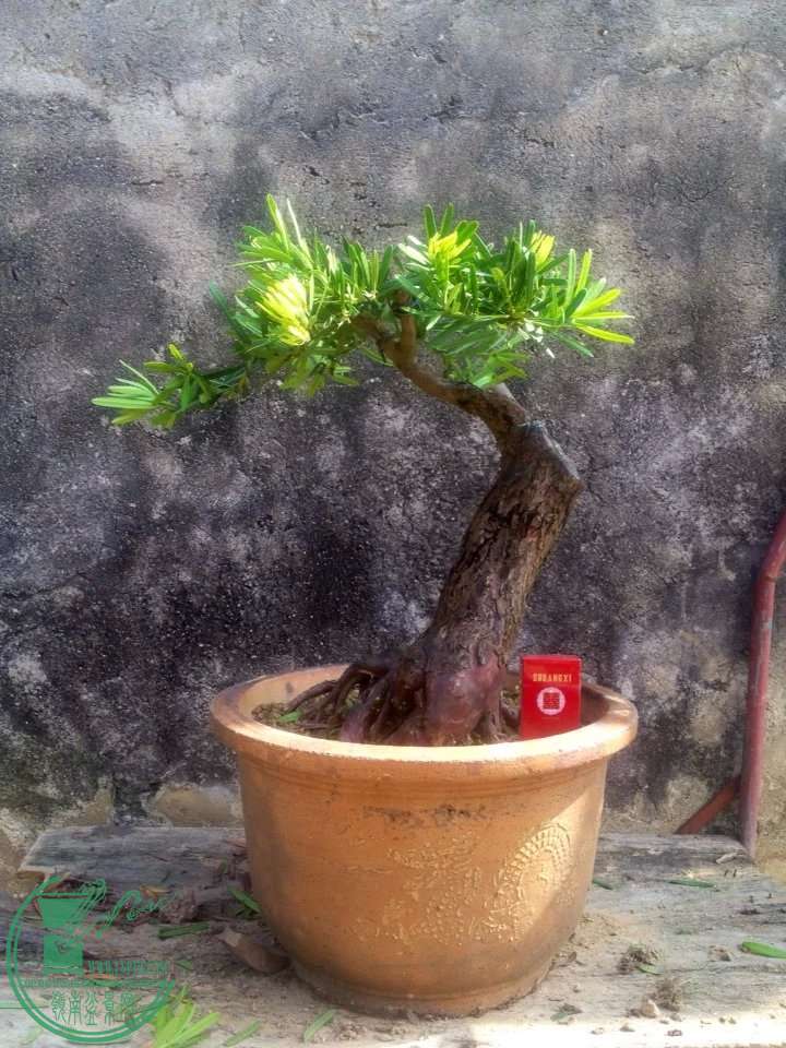 111.jpg