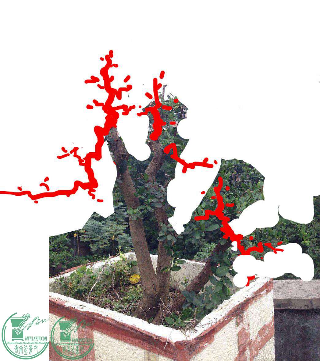 190833aifvksrll.jpg
