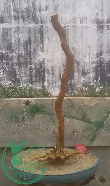 1_.jpg