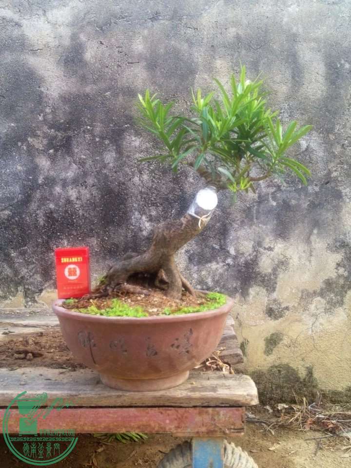 111.jpg