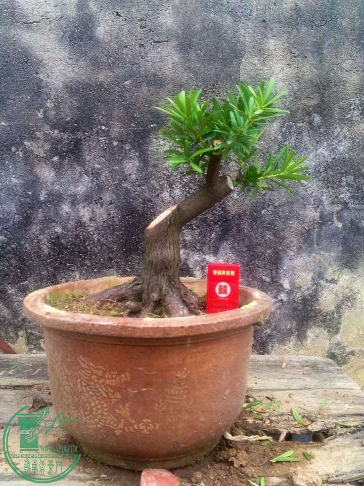 222.jpg