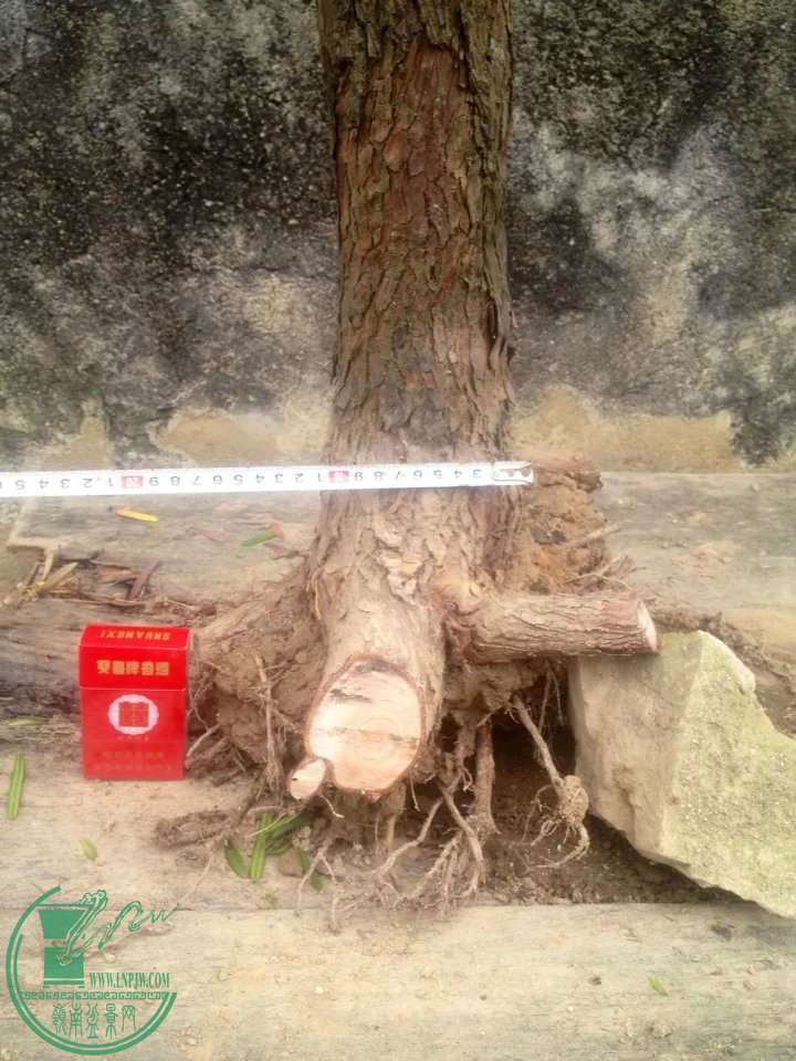 44.jpg