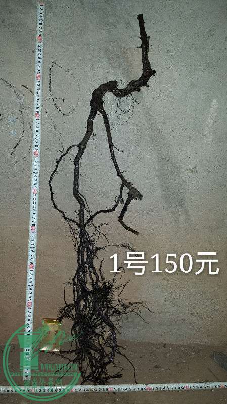 700397