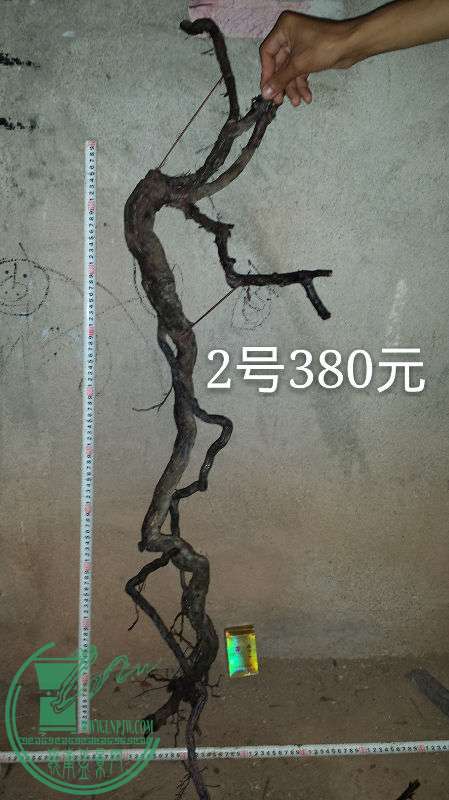 700398
