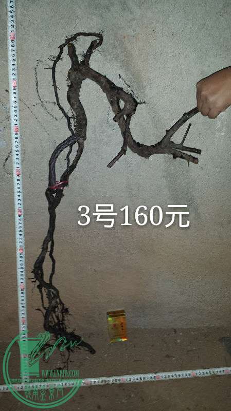 700399