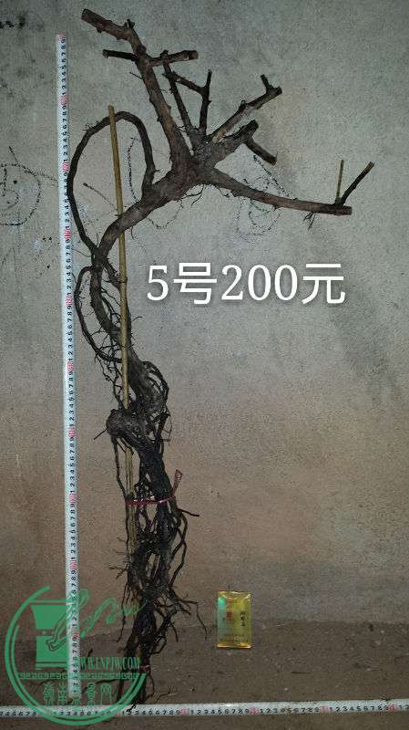 700400