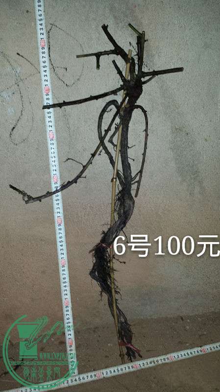 700402
