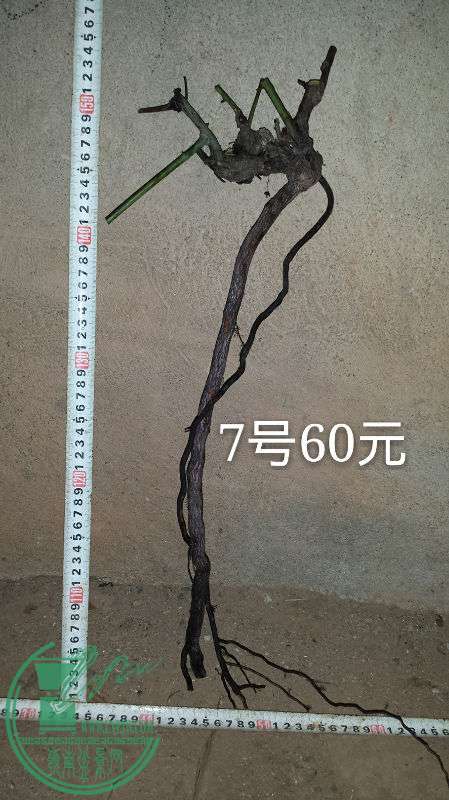 700403
