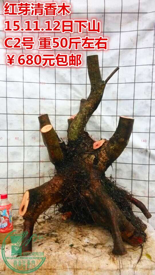 QQͼƬ20151112200828_.jpg