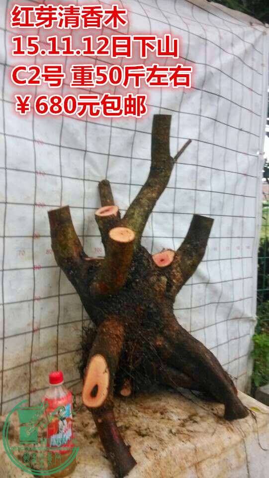 QQͼƬ20151112200831_.jpg
