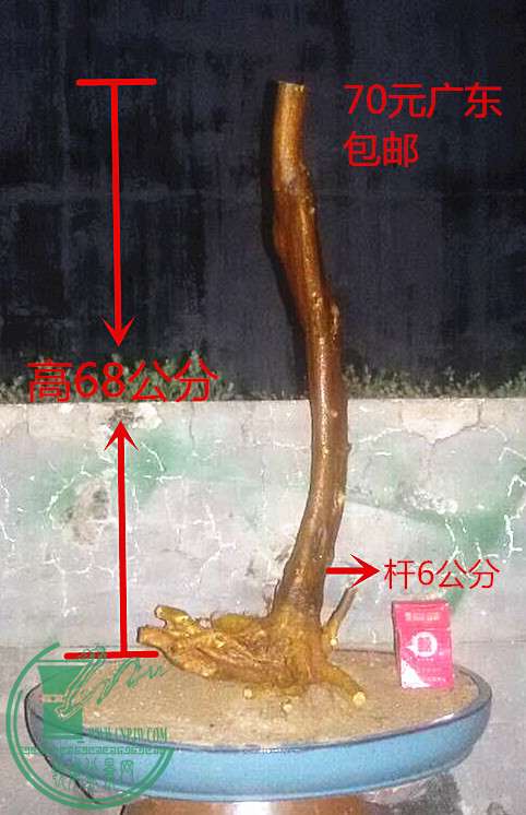 1_.jpg