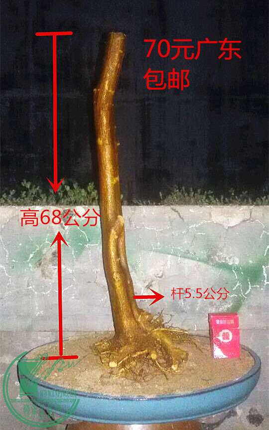 4_.jpg