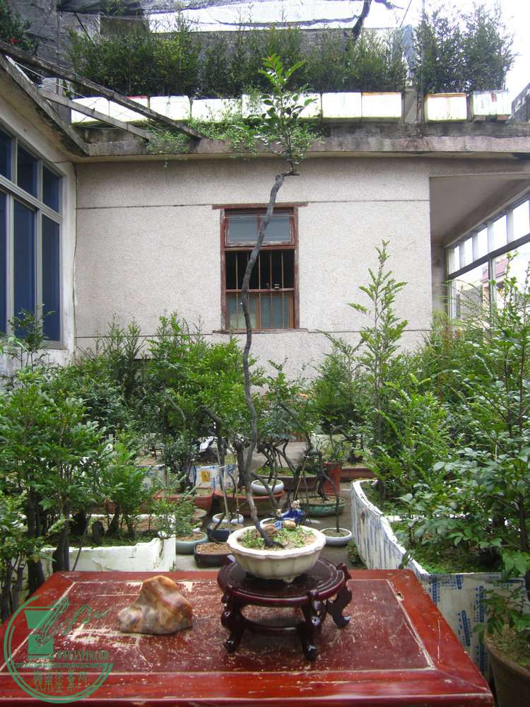 IMG_8315.JPG