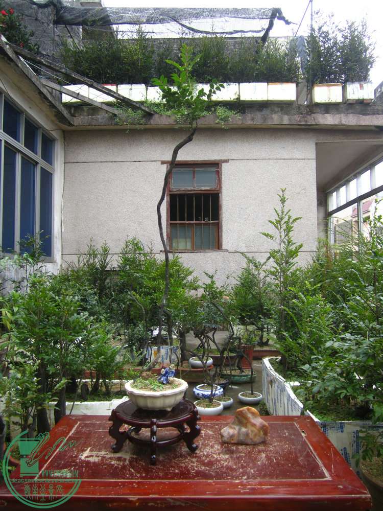 IMG_8316.JPG