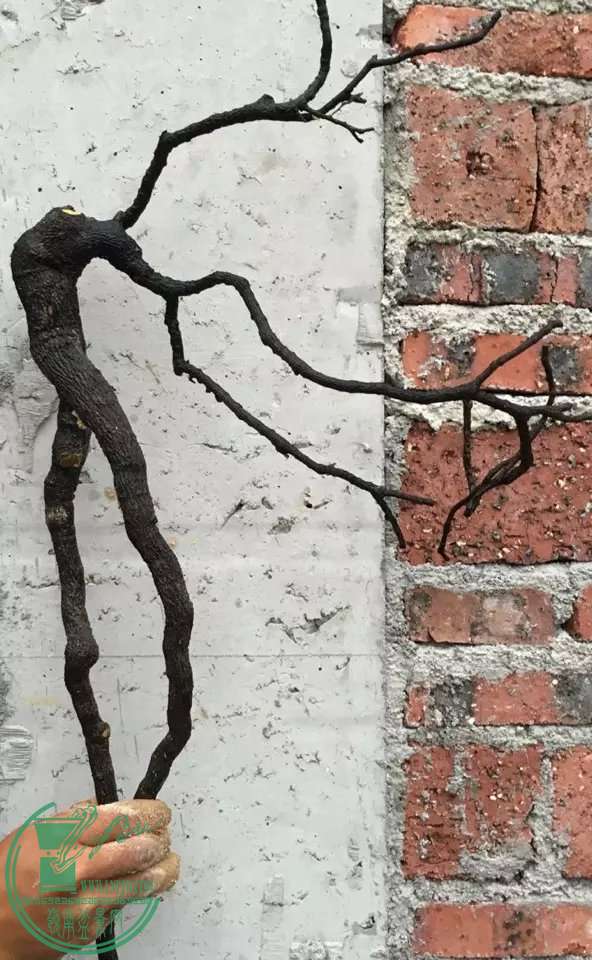 image.jpeg