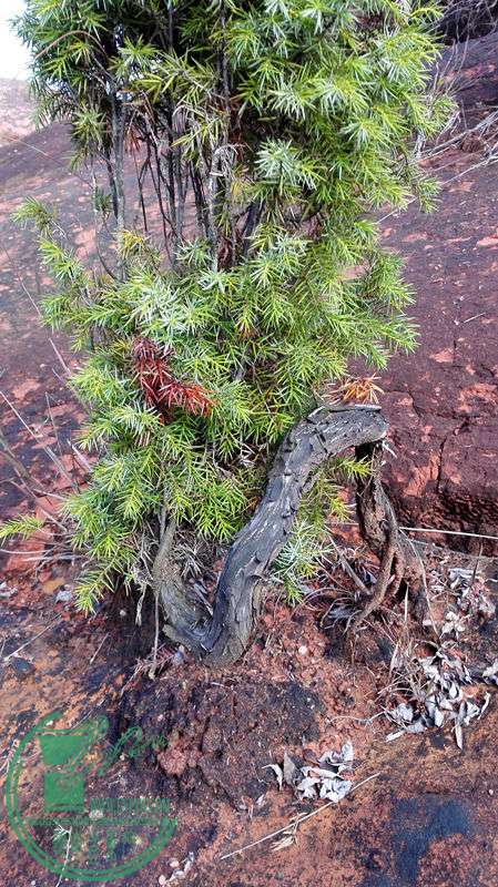 IMG_20151115_104748.jpg
