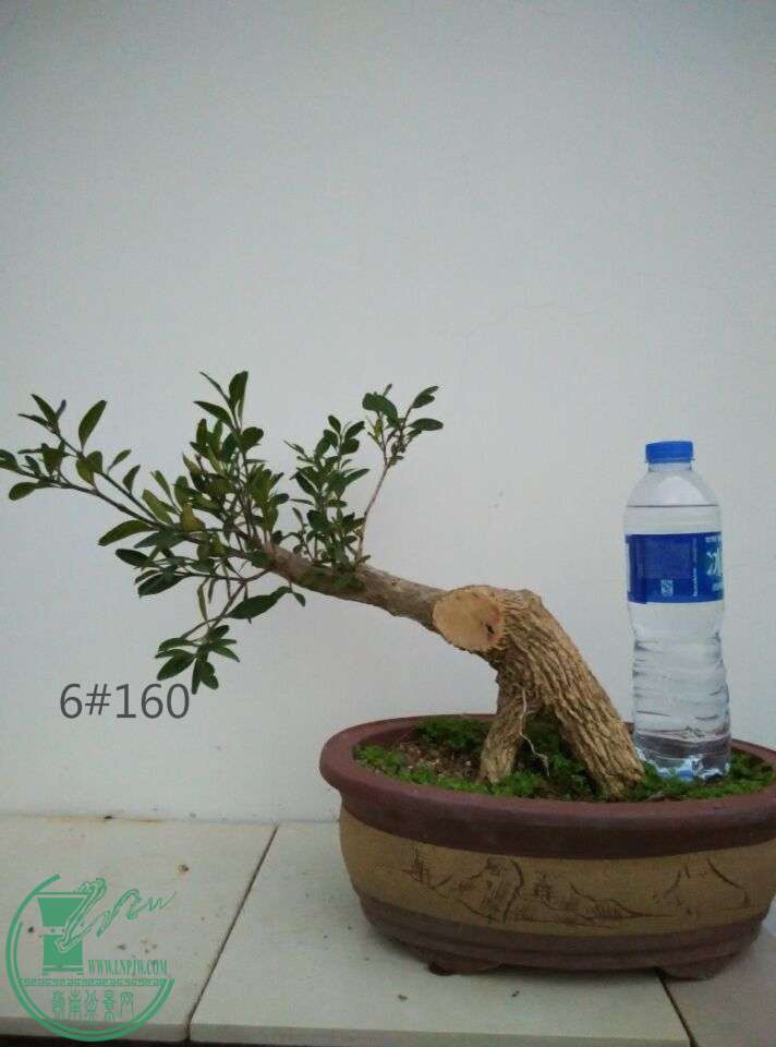 6_ͼ.jpg