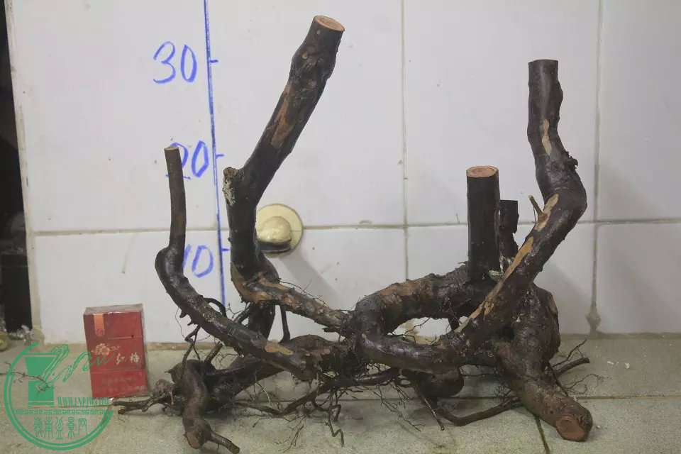 psb (25).jpg