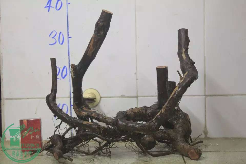 psb (26).jpg