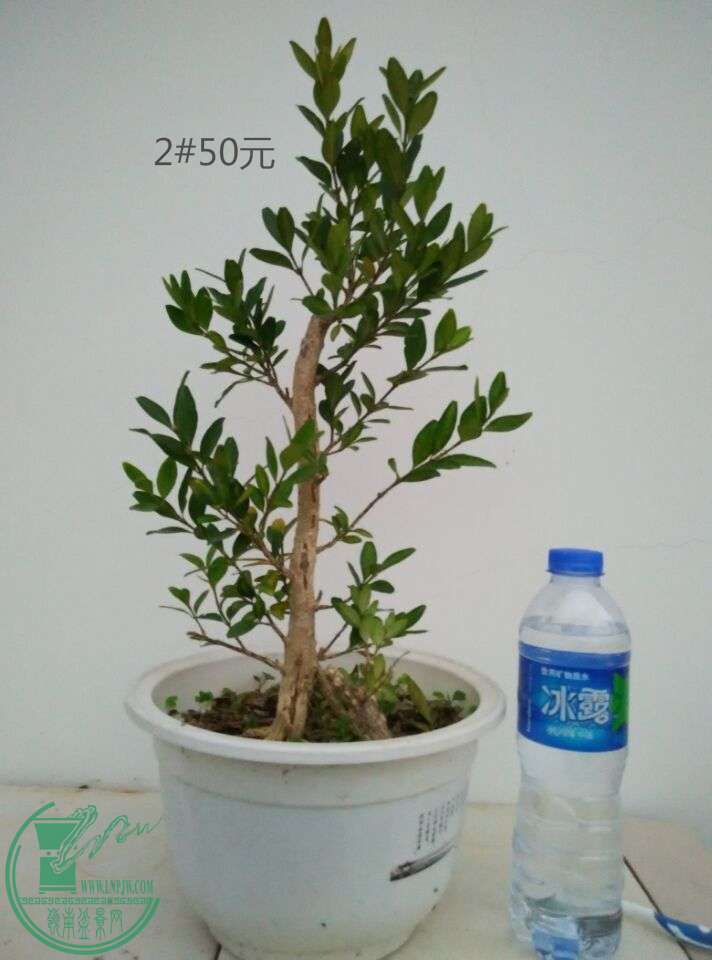 2_ͼ.jpg