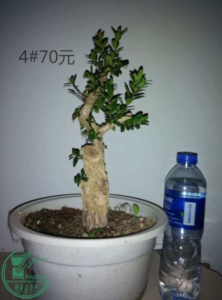 4_ͼ.jpg