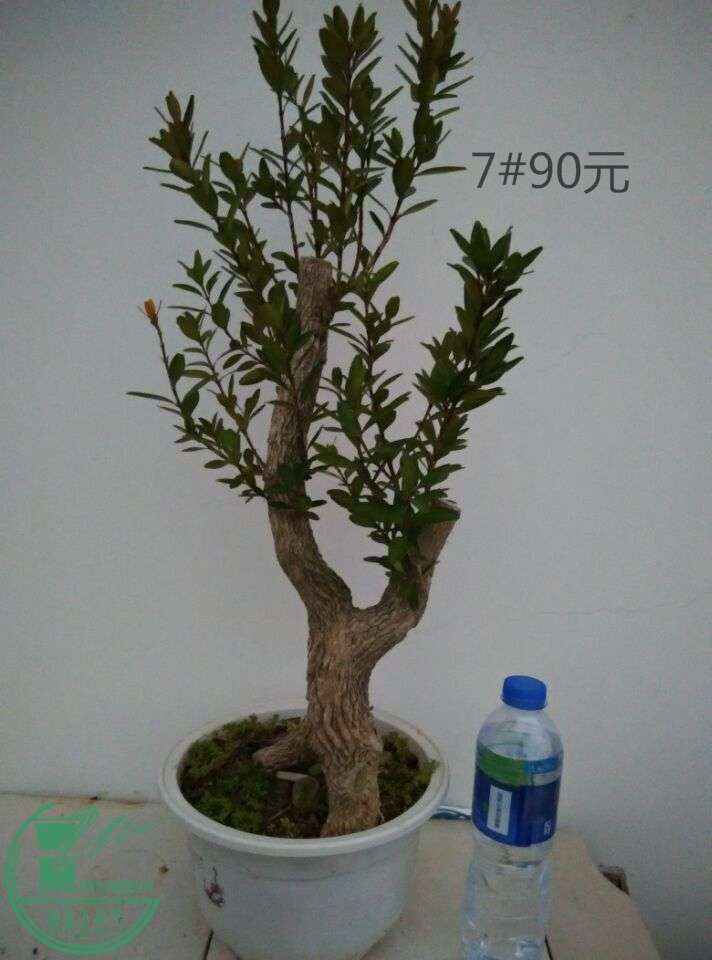 7_ͼ.jpg