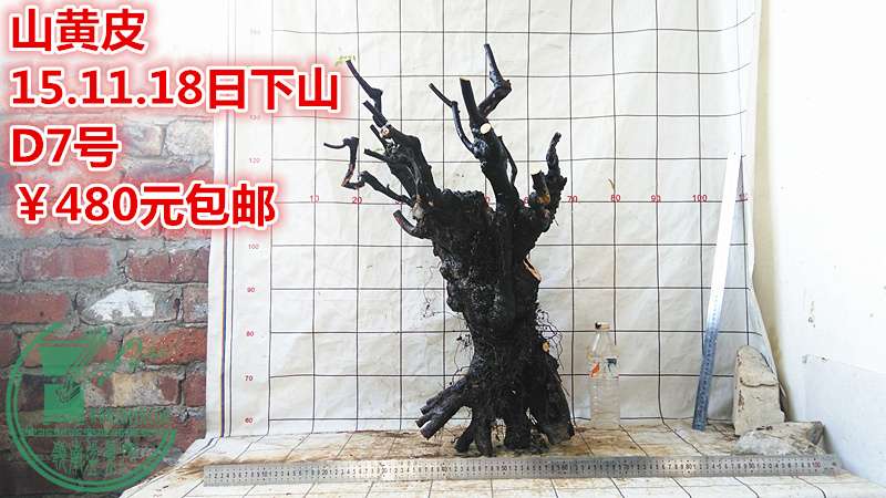 IMG_20151118_171213_.jpg