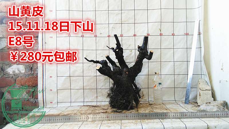 IMG_20151118_171410_.jpg