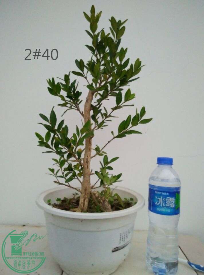 2_ͼ.jpg