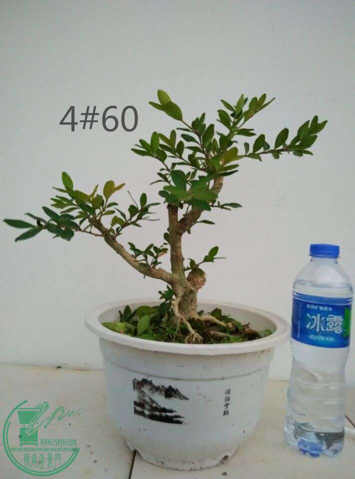 4_ͼ.jpg