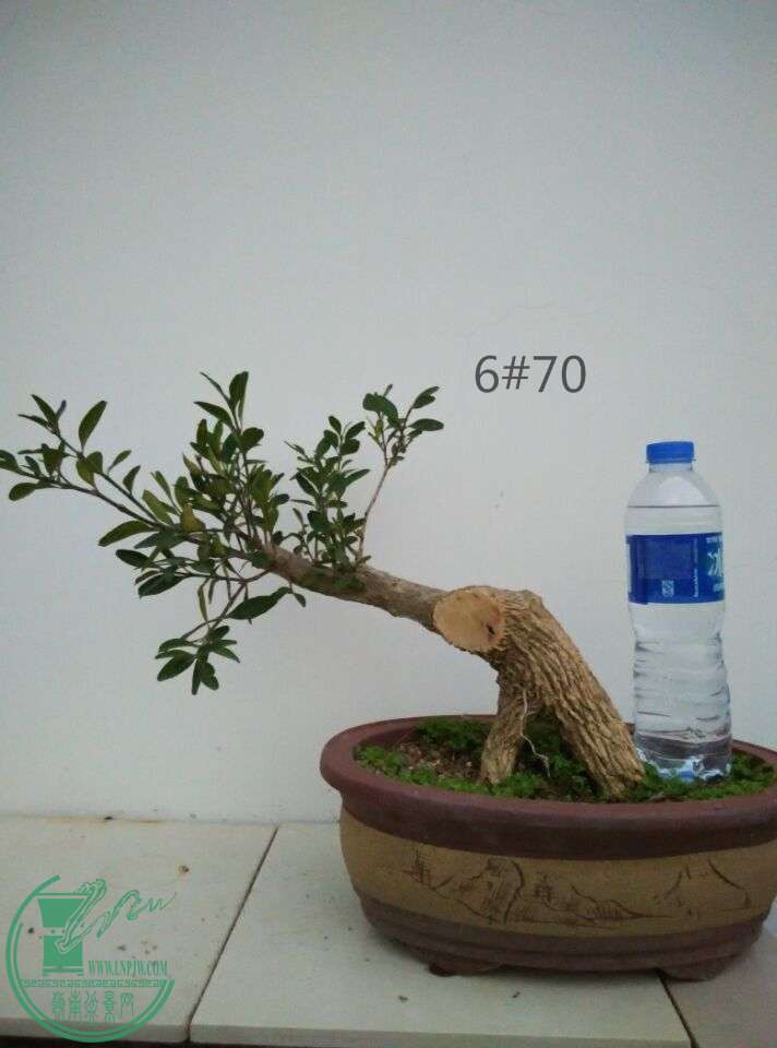 6_ͼ.jpg