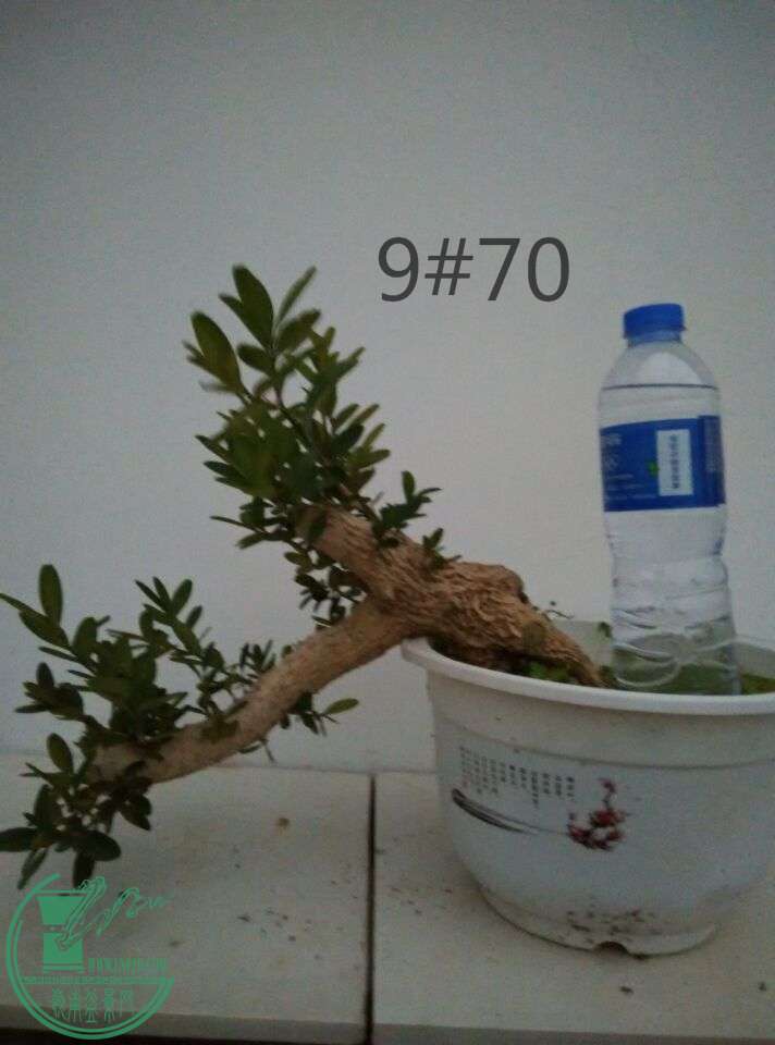 9_ͼ.jpg