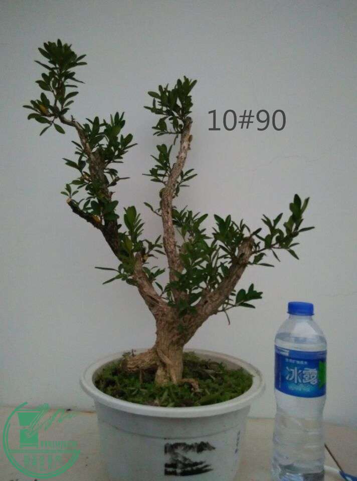 10_ͼ.jpg