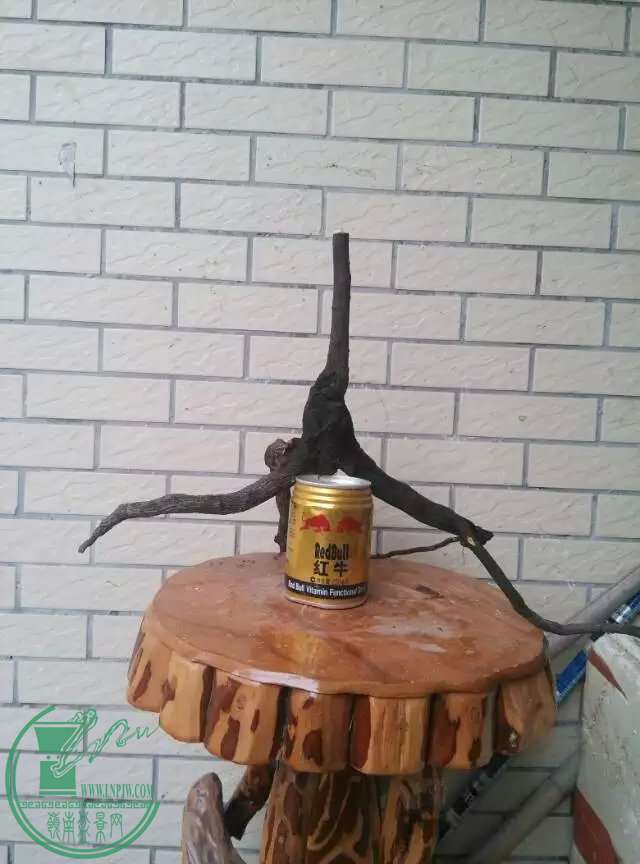 2źڹǲ