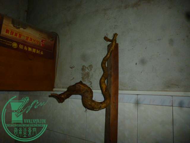 P1150121.JPG