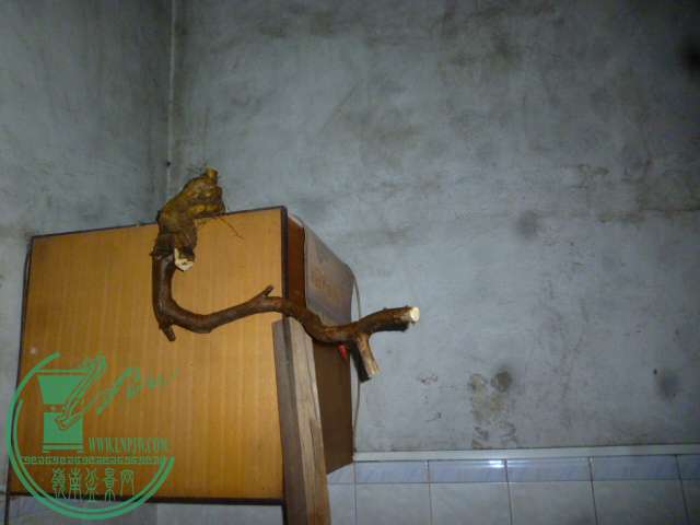 P1150134.JPG
