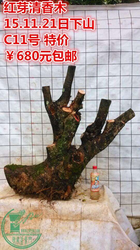 QQͼƬ20151121204622_.jpg