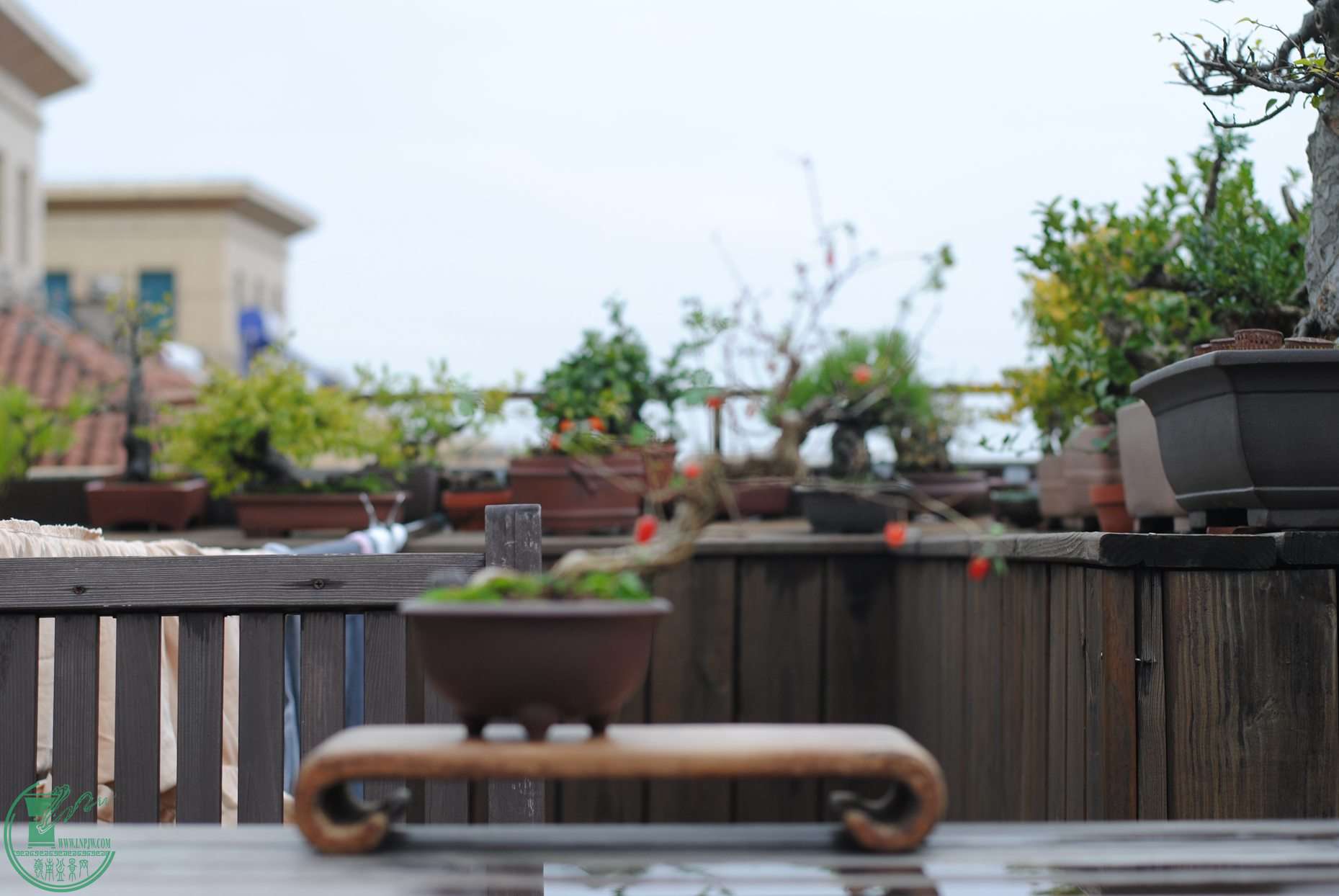 ˳㿴