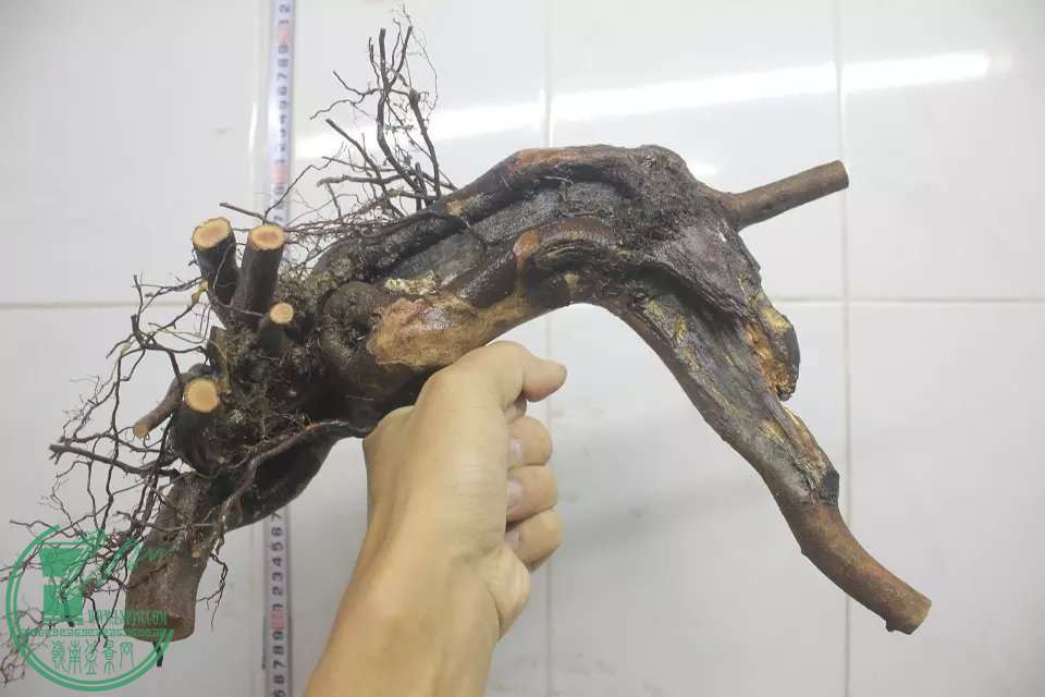 psb (11).jpg