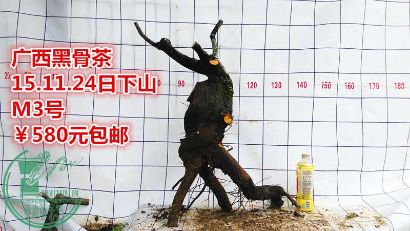 IMG_20151124_124650_.jpg