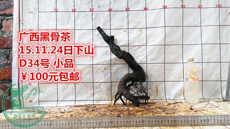 IMG_20151124_142426_.jpg