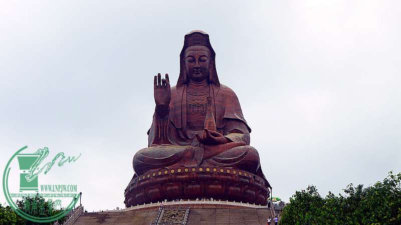 p1020902_.jpg