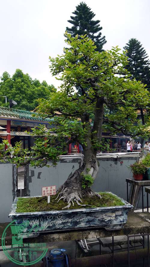 P1030003_.jpg